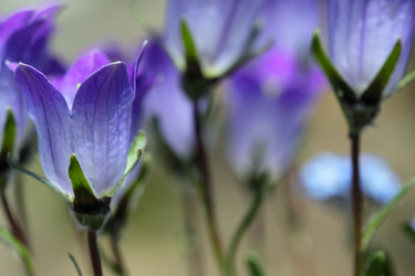 Similar image 238889