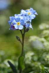 Similar image 238891