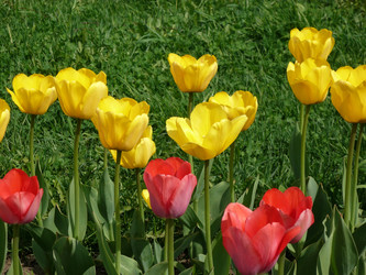 Similar image 238942