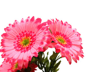 Similar image 238966