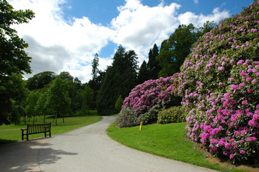 Similar image 238970