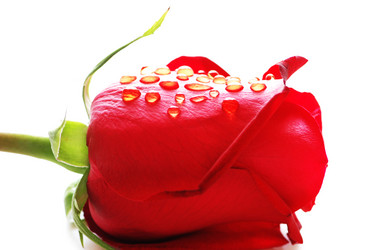 Similar image 238987