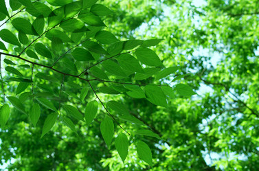 Similar image 239032