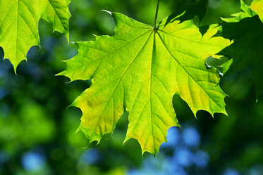 Similar image 239033