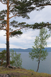 Similar image 239037