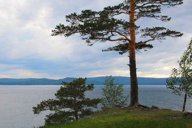 Similar image 239038