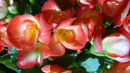 Similar image 239049