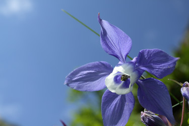 Similar image 239050