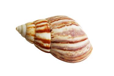 Similar image 239059