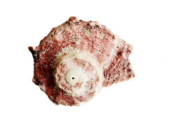 Similar image 239060