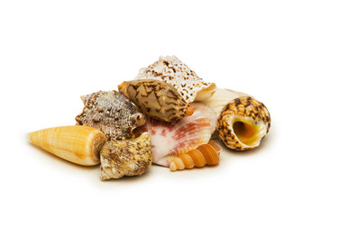 Similar image 239062