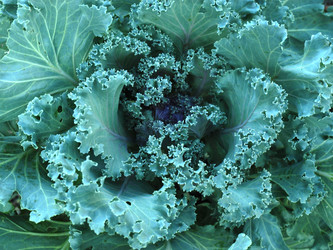 Similar image 239082