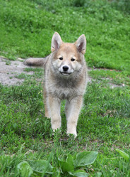 Similar image 239105