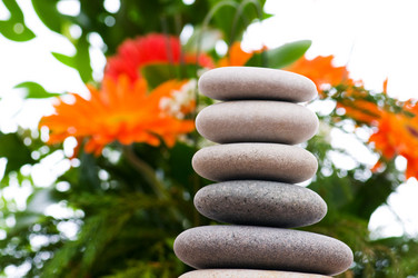 Similar image 239108