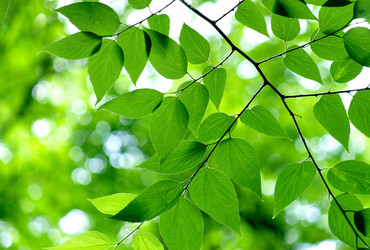 Similar image 239134