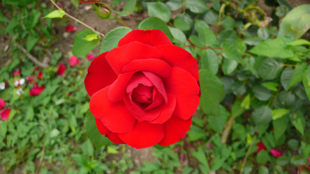 Similar image 239140