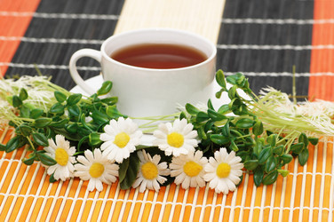 Similar image 239151