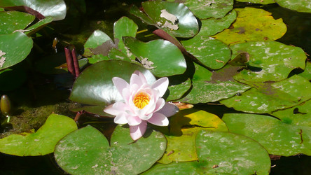 Similar image 239163