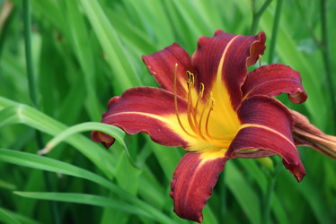 Similar image 239167