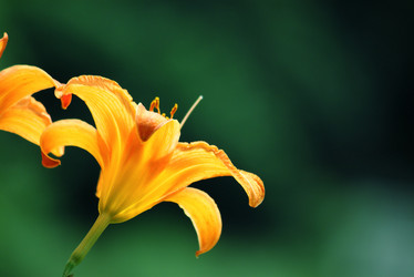 Similar image 239171