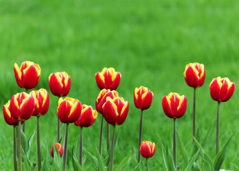 Similar image 239173