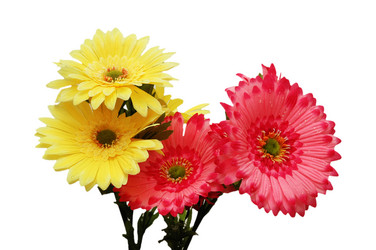 Similar image 239174