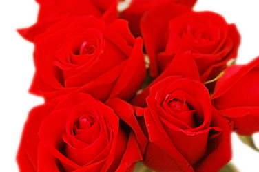 Similar image 239176