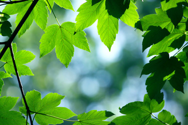 Similar image 239180