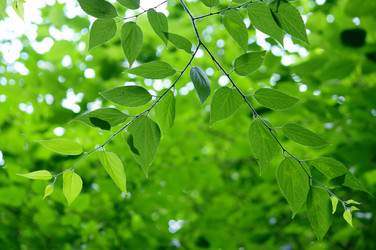 Similar image 239182