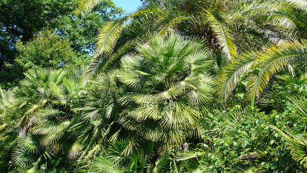 Similar image 239217