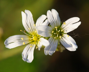 Similar image 239233