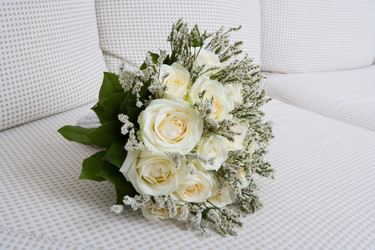 Similar image 239234