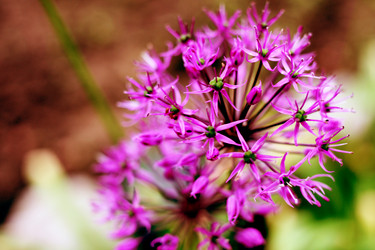 Similar image 239235