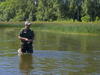 Similar image 239246