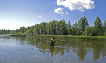 Similar image 239251