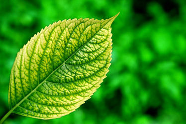 Similar image 239260