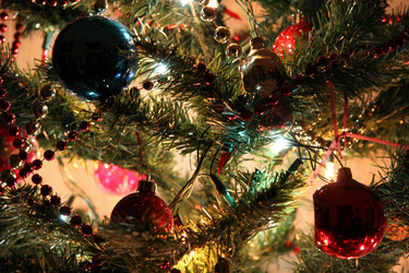 Similar image 239261