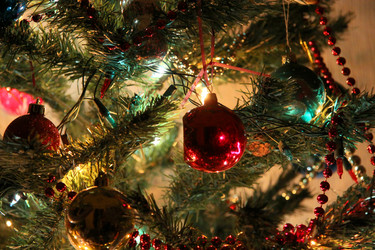 Similar image 239263