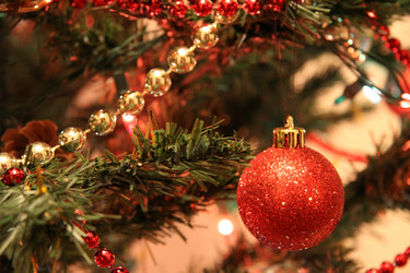 Similar image 239265