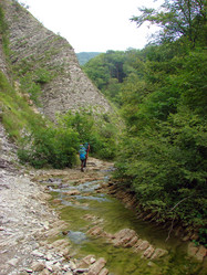 Similar image 239280