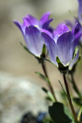 Similar image 239304