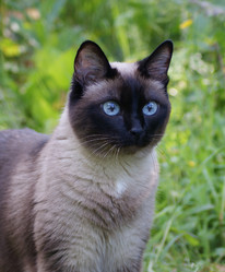 Similar image 239309