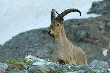 Similar image 239310