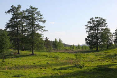 Similar image 239311