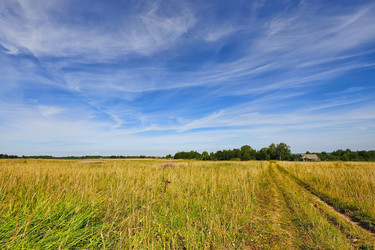 Similar image 239321