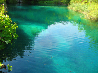 Similar image 239331