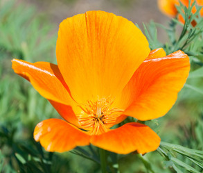 Similar image 239337