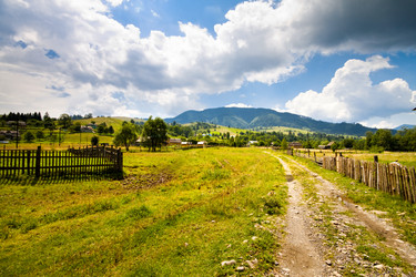 Similar image 239338