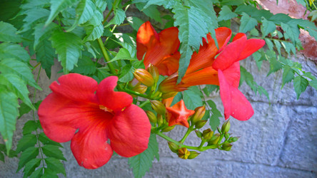 Similar image 239369