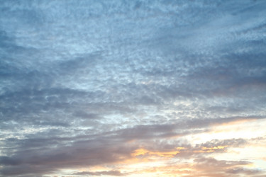 Similar image 239371